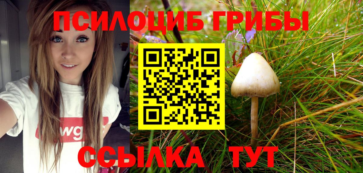Псилоцибиновые грибы MAGIC MUSHROOMS  Псилоцибиновые грибы мицелий  Ачхой-Мартан  Вход с VPN 