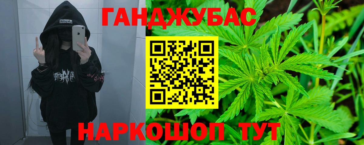 Марихуана сатива Ачхой-Мартан